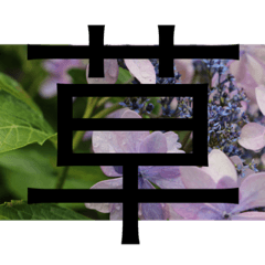 WASABI_20210624063532