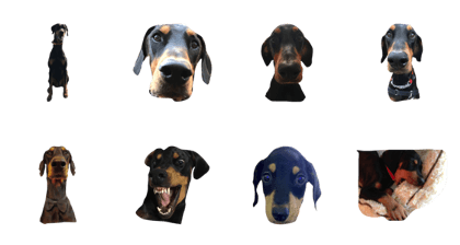 doberman lee