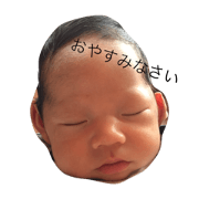 zenkunphoto