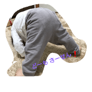Oharu bo