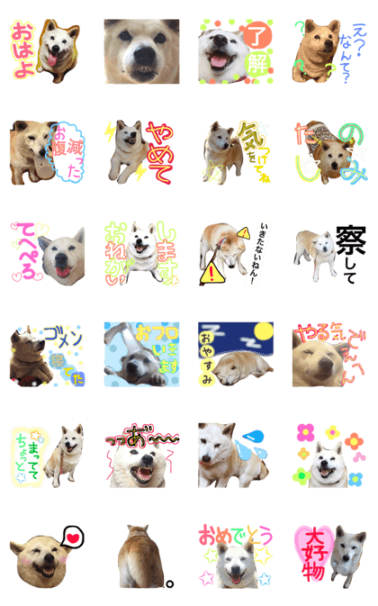 shibatarosu
