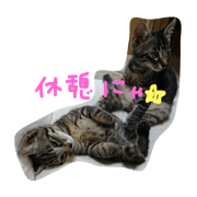 uchinoumitosora