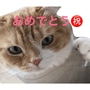 cat 693