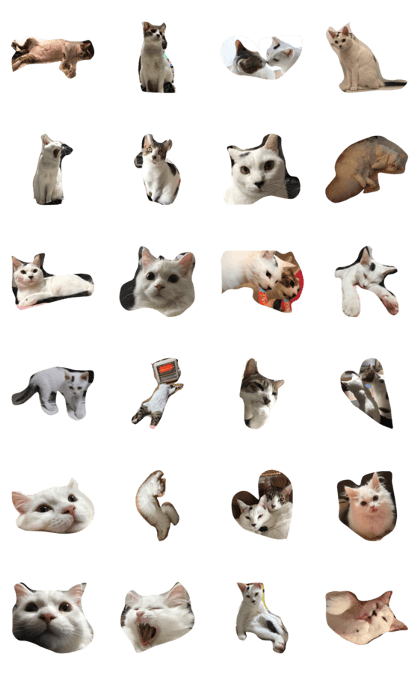 cat's 3
