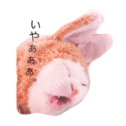Ki na ko .