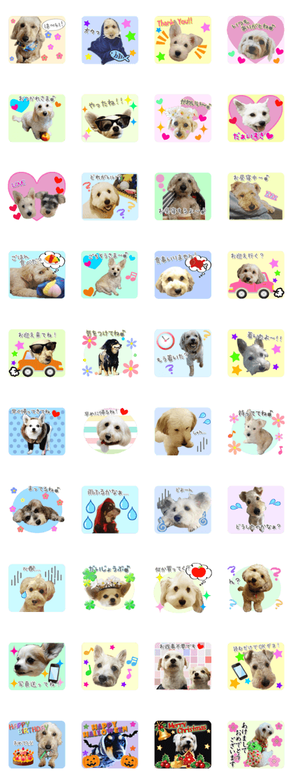 Mix dog's use sticker 2nd bullet