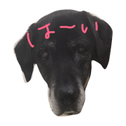 kurolabu