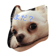 myLuna