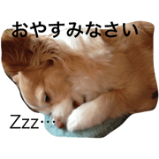 kuuuchan