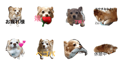 kuuuchan