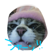 mi-tarou