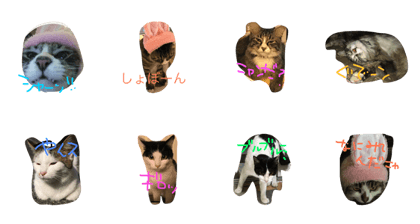mi-tarou