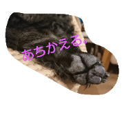 doggys