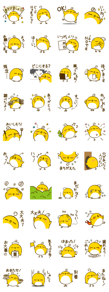 Cottolino5