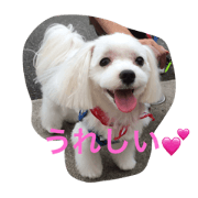 Maluchi no rubitan
