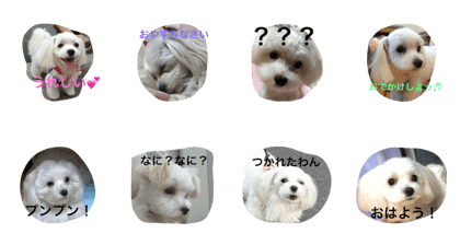 Maluchi no rubitan