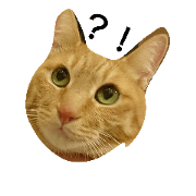 nya-kun