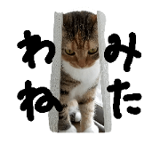coco-1