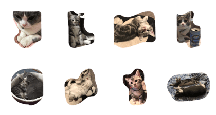 cat tom&jerry