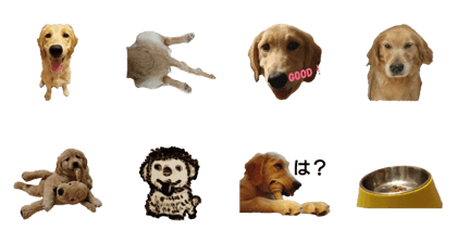 TestGORU