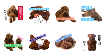 Hono&Kyle's stamp vol.2