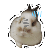 dorodorodoro