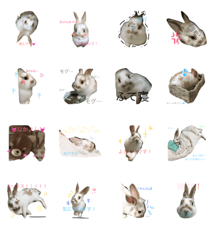 dorodorodoro