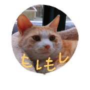 nnya