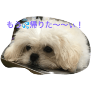 mococo1
