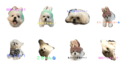 mococo1