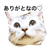 daachan