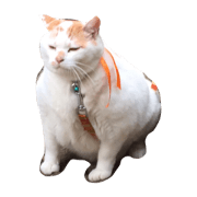 bunta-bbbb