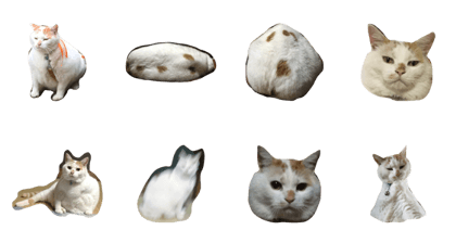 bunta-bbbb
