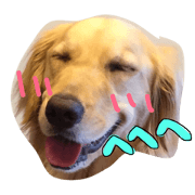 I'm koharu1.