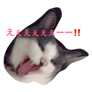 hinakuro