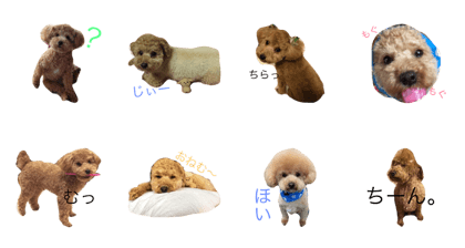 Maro's first stamp