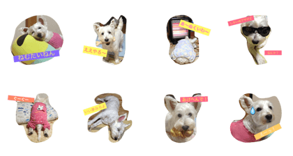 I Am Westie
