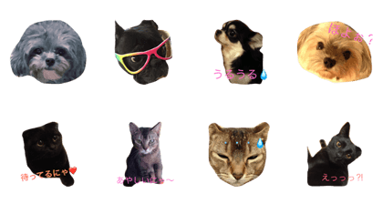 Dog and cat stamps