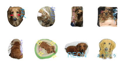 reon 2