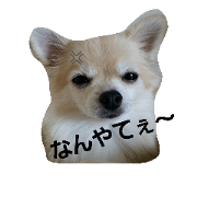 naniwa pappy