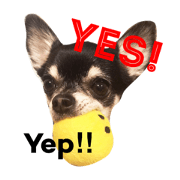 Padme & Amo's daily use stickers #5