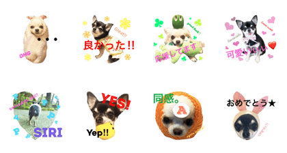 Padme & Amo's daily use stickers #5