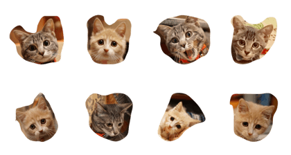 Qute cats