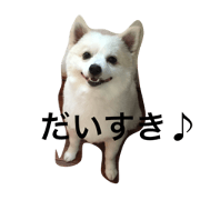 Every day of Choppi