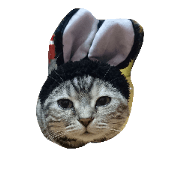 uran cat