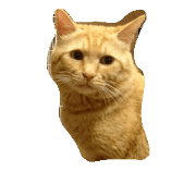jijitotorao