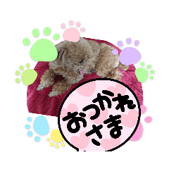 KII_20210624184533