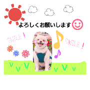 hinastmp 1