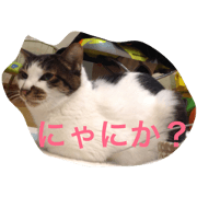 hanyaaan
