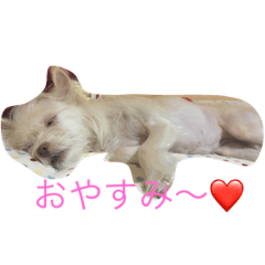 bibiy